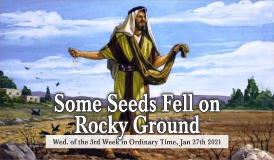 Some Seeds Fell on Rocky Ground