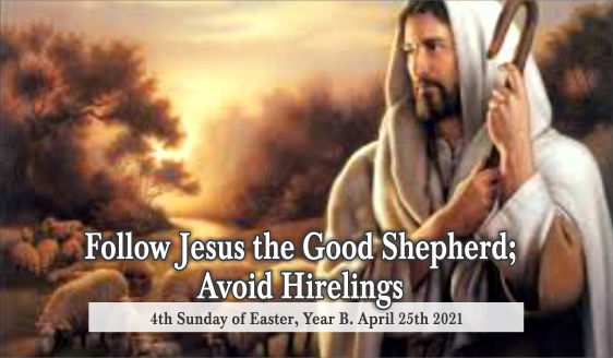 Follow Jesus the Good Shepherd; Avoid Hirelings