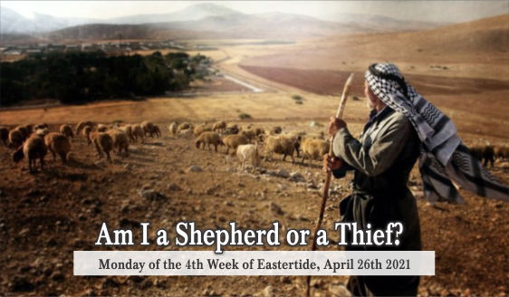 Am I a Shepherd or a Thief?