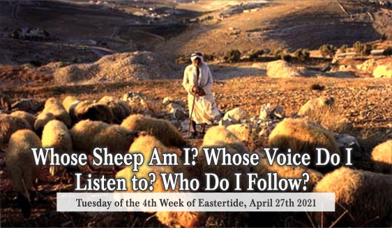 Whose Sheep Am I? Whose Voice Do I Listen to? Who Do I Follow?