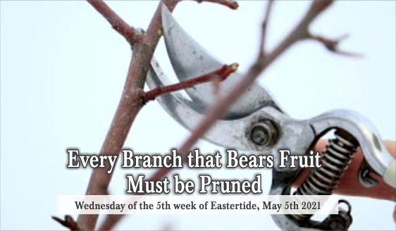 Every Branch that Bears Fruit Must be Pruned