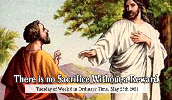 There Is No Sacrifice Without A Reward