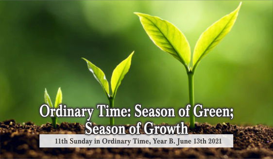 Ordinary Time: Season of Green, Season of Growth.