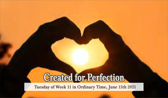 Created for Perfection