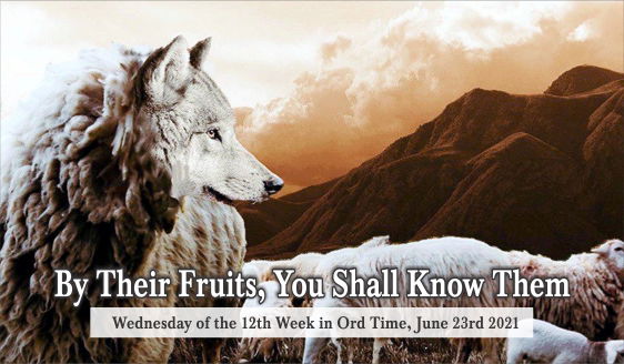 By Their Fruits, You Shall Know Them