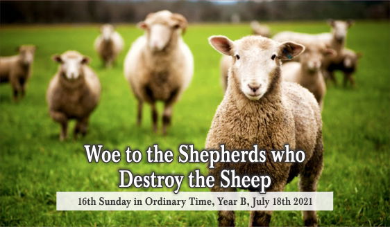 Woe to the Shepherds who destroy the Sheep