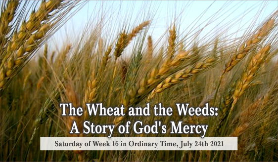 The Wheat and the Weeds: A Story of God’s Mercy