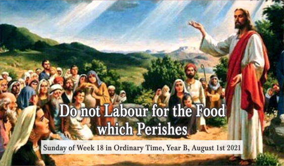 Do not Labour for the Food which Perishes