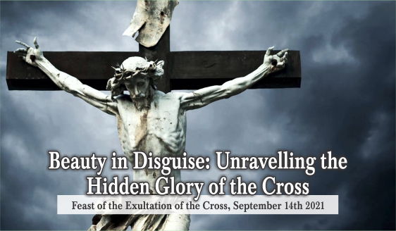 Beauty in Disguise: Unravelling the Hidden Glory of the Cross