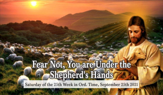 Fear Not, You are Under the Shepherd’s Hands.