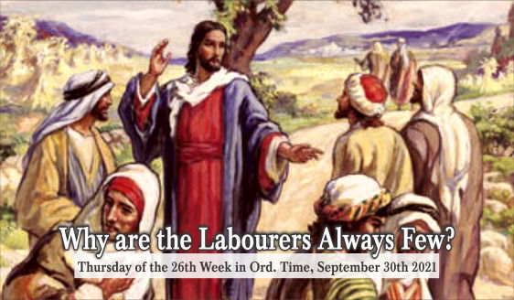 Why are the Labourers Always Few?