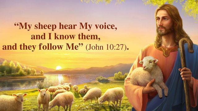 My Sheep Hear My Voice, I Know them and They Follow Me