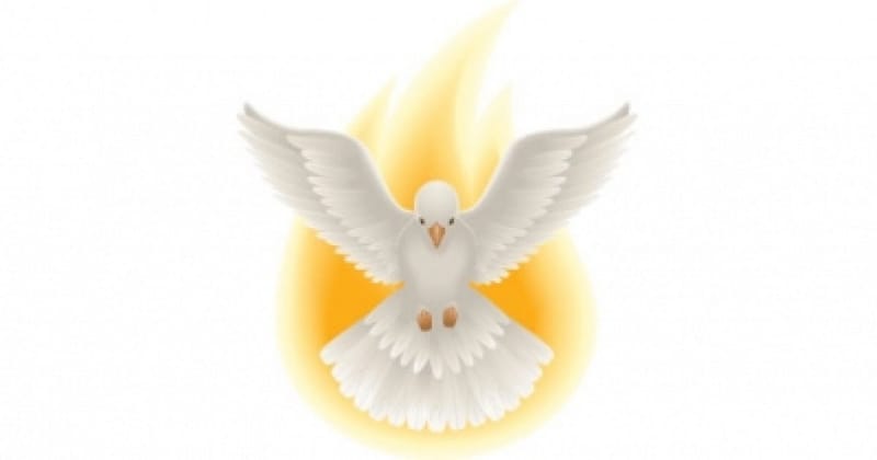 The Holy Spirit, Voice of our Conscience