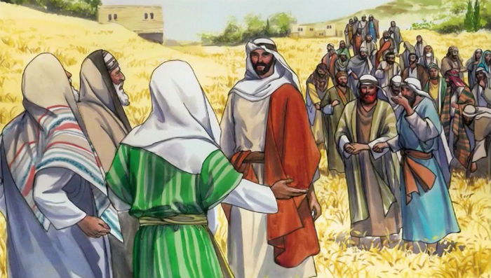 I Desire Mercy; Not Sacrifice.