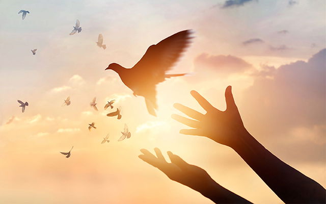 Forgiveness is Self-Healing