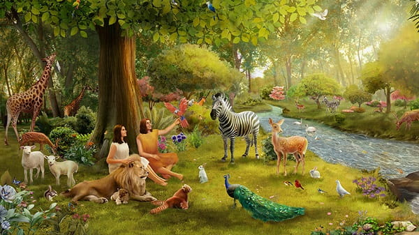 We are Copies of God, the Creator