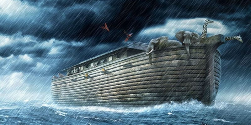 Dare to be Different: Stand out Like Noah