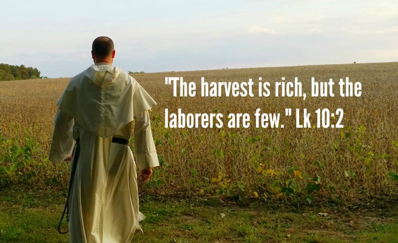 A Rich Harvest But Only a Few Labourers
