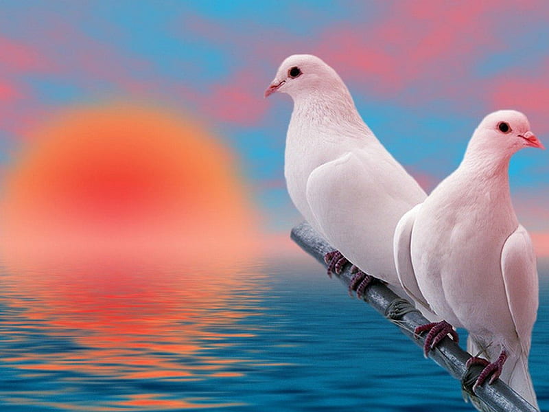 Innocent as Doves, but Wise as Serpents