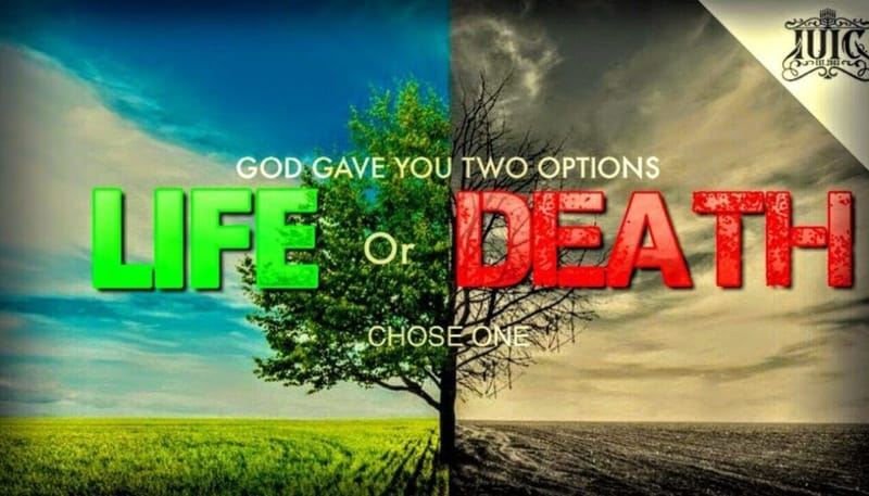 Choose Good, Choose Life; Choose Blessing