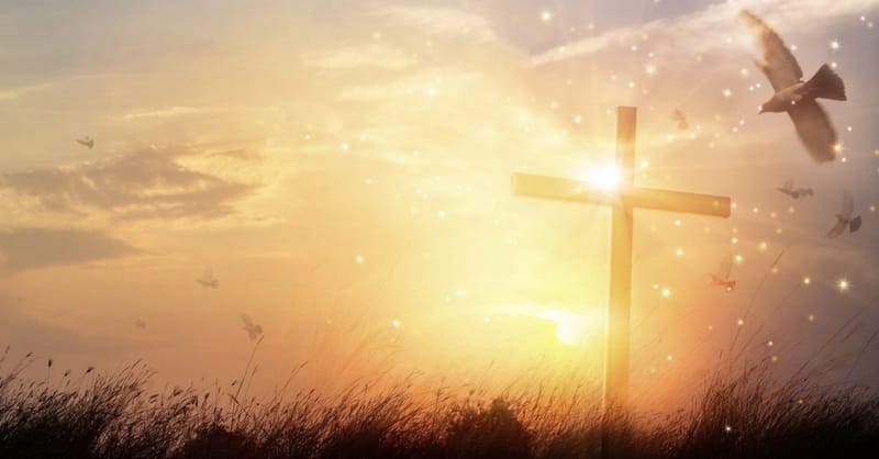 The Anatomy of Godly Perfection