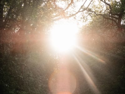 עבודת ה' של יום הכיפורים