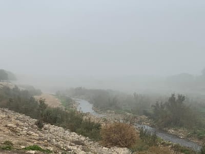 תשעה באב   7.1960