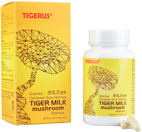 Tigerus ® Tiger Milk Mushroom Sclerotia 60’s
