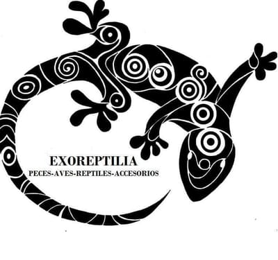 EXOREPTILIA