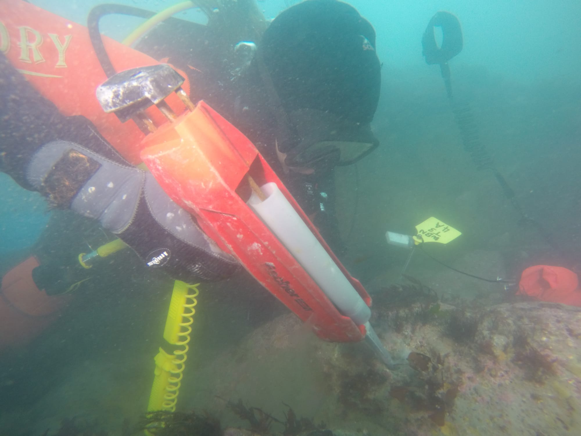 Underwater Projects, Kaikoura