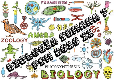 BIOLOGÍA SEMANA 7