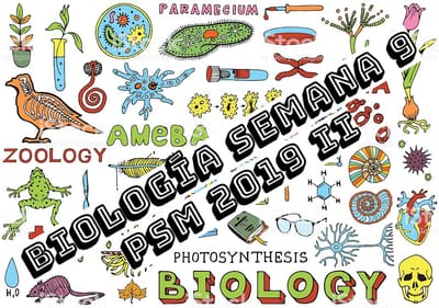 BIOLOGÍA SEMANA  9