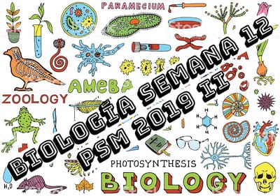 BIOLOGÍA SEMANA  12