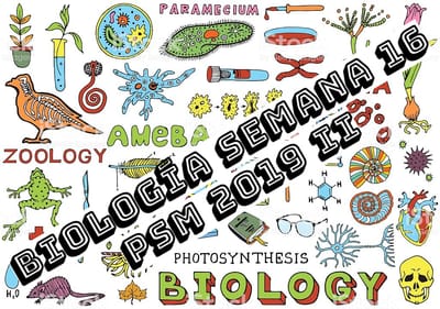 BIOLOGÍA SEMANA  16