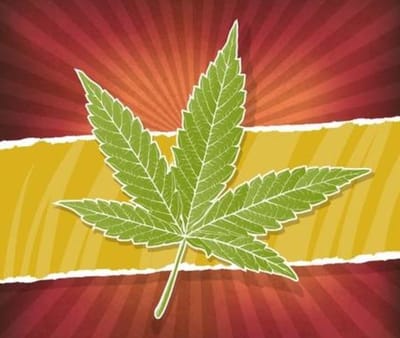 The Caribbean Cannabis Cruise Destination