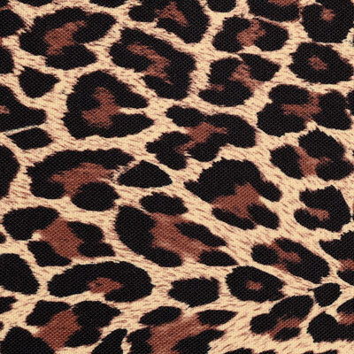 LEOPARD PRINT #560