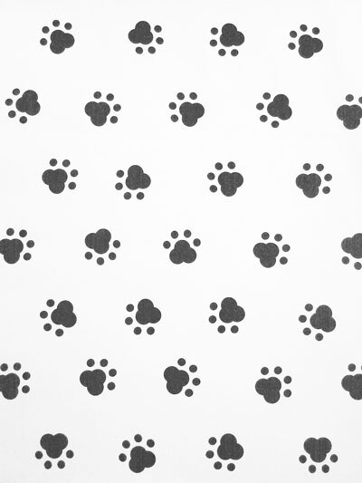 PAW PRINTS #610