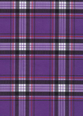 PLAID PURPLE #630