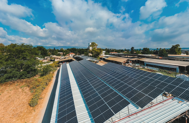 כפר יהושע 600 קילו