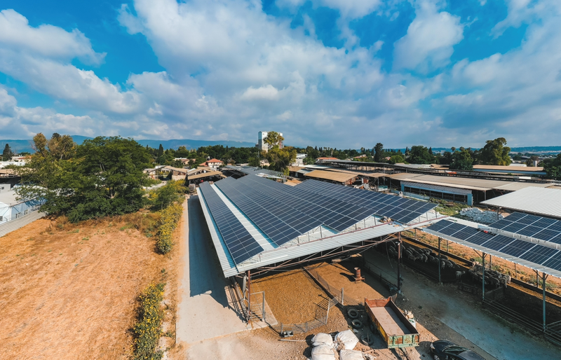 כפר יהושע 600 קילו