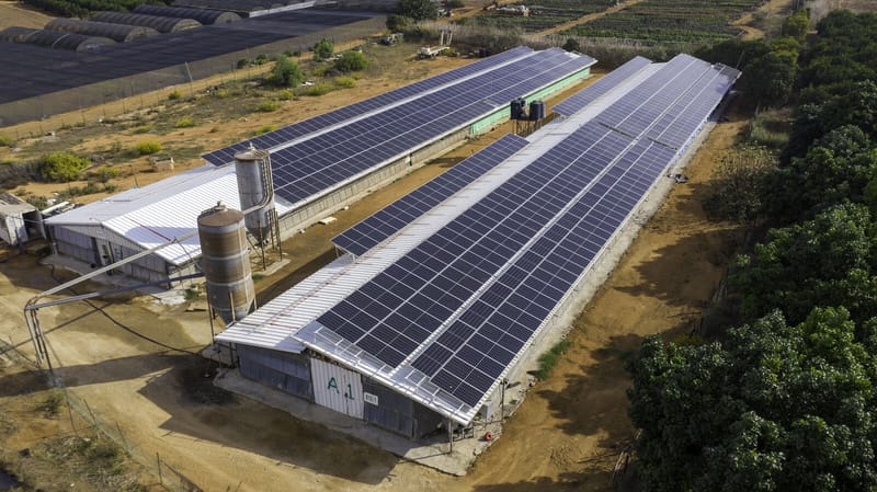 חרות 298 קילו