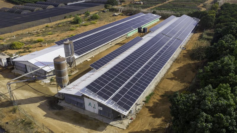 חרות 298 קילו