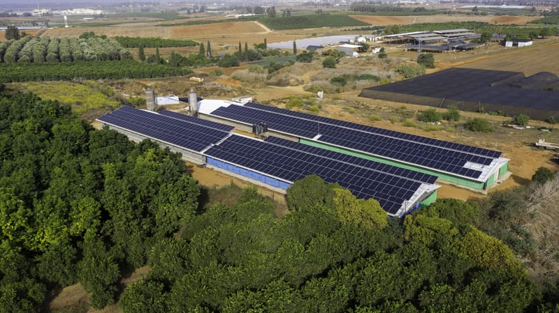 חרות 298 קילו