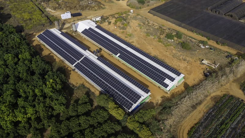 חרות 298 קילו