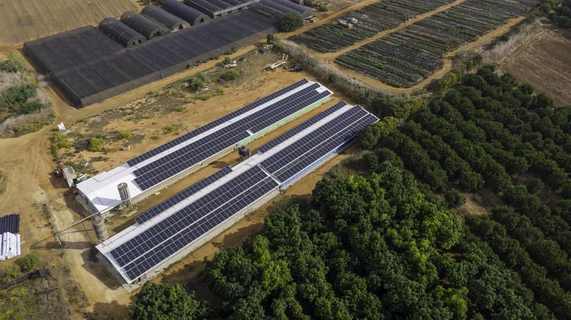 חרות 298 קילו