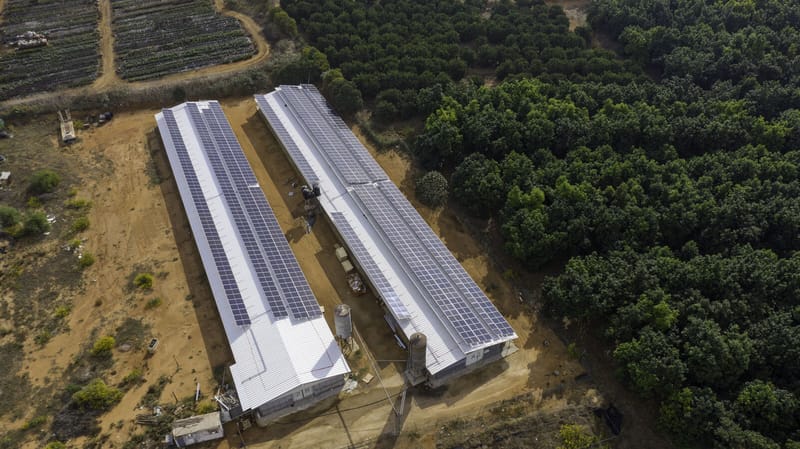 חרות 298 קילו