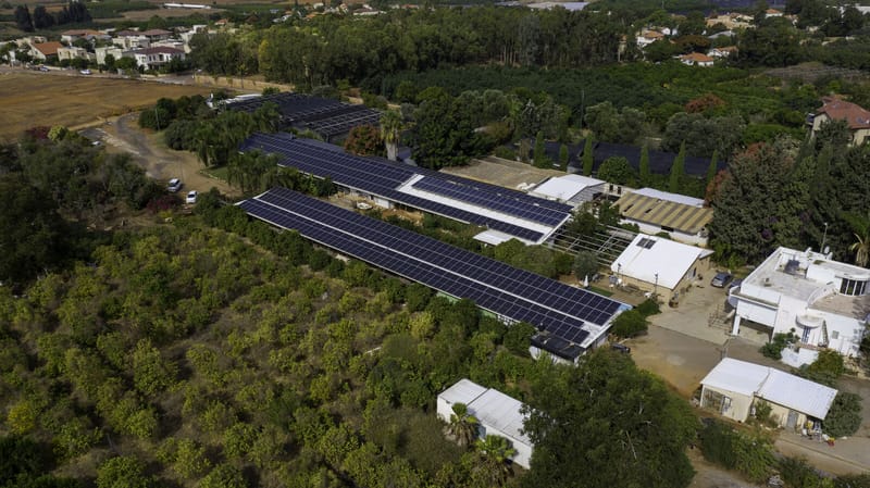 חרות 240 קילו