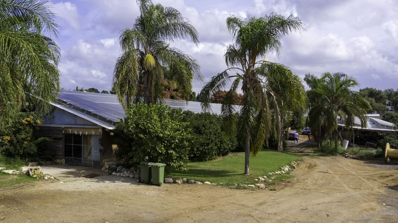 חרות 240 קילו