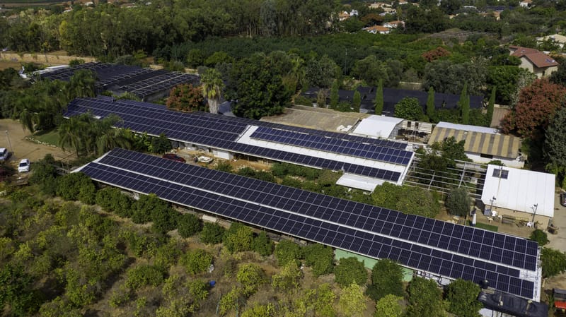 חרות 240 קילו