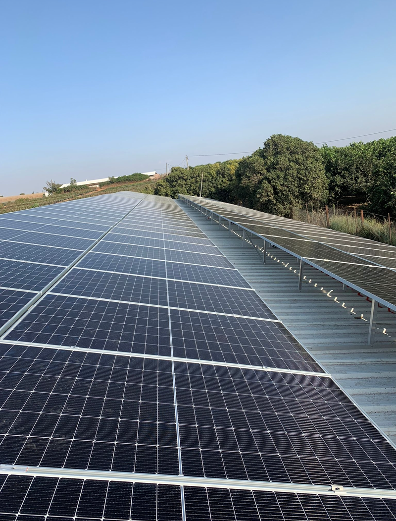 כפר נטר 242 קילו